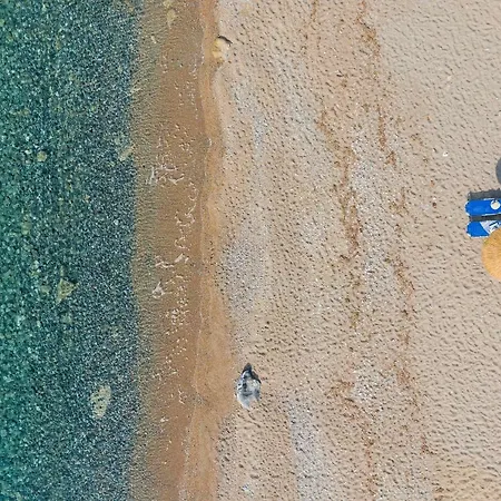 Sea La Vie *